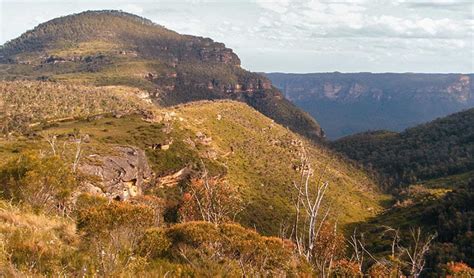 Mount Wilson area | NSW National Parks