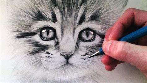 How to Draw a Kitten - YouTube #pencildrawing | Cat face drawing ...