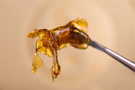 What is a cannabis dab? – Medizin Las Vegas