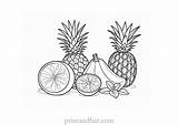 Free Printable Fruit Coloring Pages For Kids  Fruit Coloring Sheets sketch template