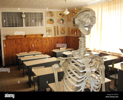 skeleton in classroom of anatomy with desks Stock Photo - Alamy