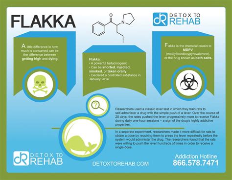 Flakka Infographic - Detox To Rehab