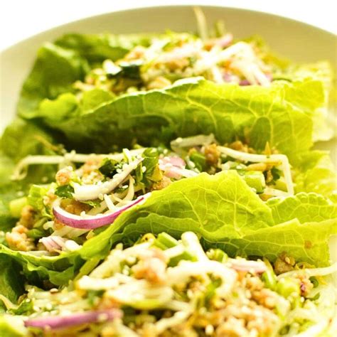 Laotian Meat Salad (Chicken Larb/Laab) - Better In Health