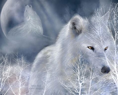 White Wolf by Carol Cavalaris