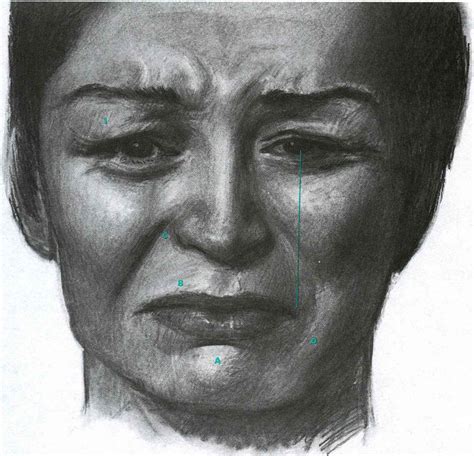 Sadness On The Verge Of Tears - Facial Expressions - Joshua Nava Arts