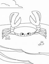 Free Printable Crab Coloring Pages For Kids sketch template