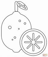 Dibujo De Lima Para Colorear  Dibujos Imprimir Gratis sketch template