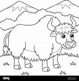 Yak Animal Coloring Page For Kids Stock Vector Image & Art  Alamy sketch template