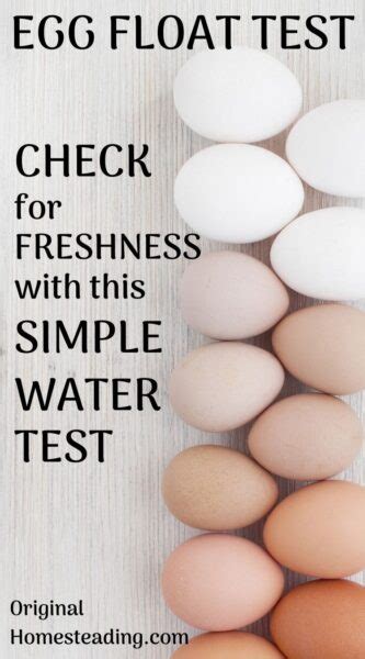 SIMPLE EGG FLOAT TEST: How to Test for Egg Freshness