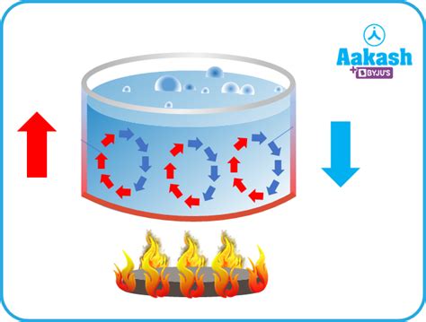 Convection Diagram PowerPoint Template SlideModel | lupon.gov.ph