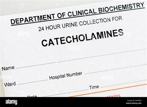 Empty plastic containers for collection of urine to test for catecholamines (depamine ...