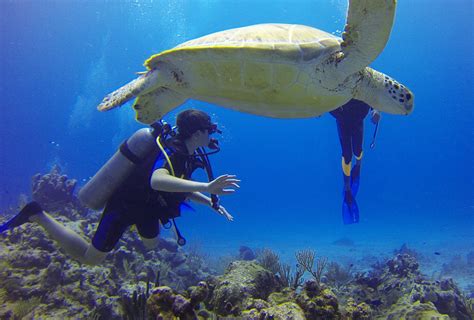 Messinia Diving - Ecotourism Greece