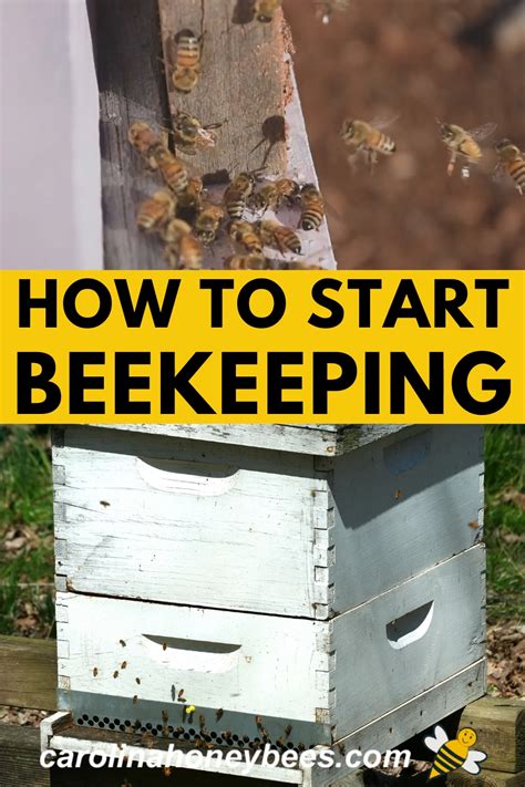 How to start beekeeping full beginners guide – Artofit