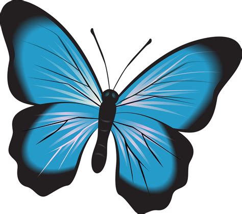 Free Butterfly Clipart Images