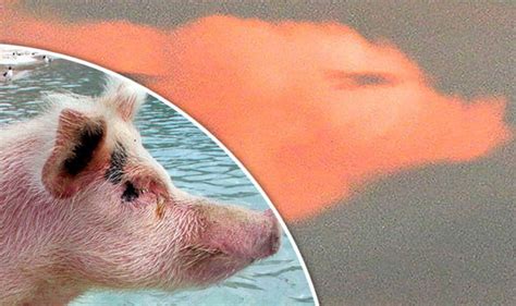 Stunning photos show pink cloud in the shape of a pig | Nature | News | Express.co.uk