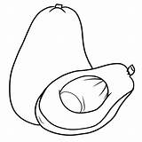 Avocado Coloring Pages  Best For Kids sketch template