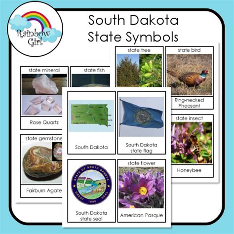 South Dakota State Symbols South Dakota State, State Birds, Vocabulary ...