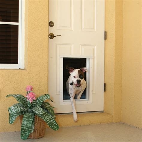 18 Best Electronic Dog Doors (Reviews Updated 2024) | Dog Product Picker