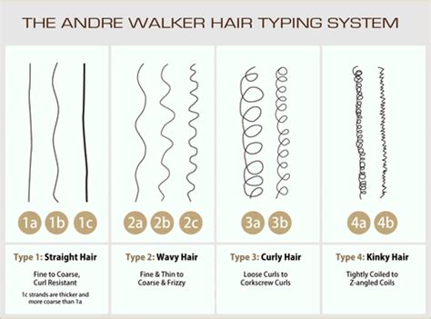 Type 3 Natural Hair Curl Pattern Chart