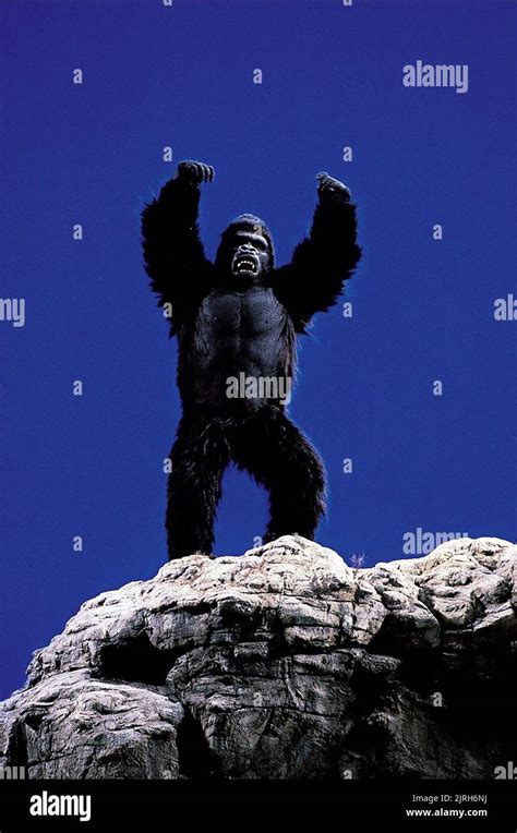 GORILLA, KING KONG LIVES, 1986 Stock Photo - Alamy