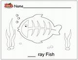 X Ray Fish Coloring Pages Sketch Coloring Page sketch template