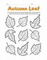 Fall Leaves Coloring Pages For Preschoolers sketch template