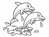 Two Dolphins Coloring Pages sketch template