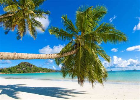 Visit Praslin on a trip to The Seychelles | Audley Travel UK