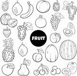 Cartoon Fresh fruit Food Objects Set coloring Page 9830762 Vector Art  sketch template