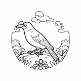 Premium Vector  Crow coloring Pages bird outline For sketch template