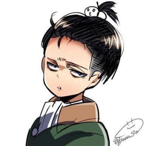 Levi Ackerman Height - Levi had a lot going against him becoming tall.