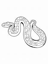 Realistic Python coloring Page sketch template