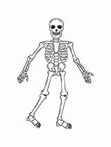 Free Printable Skeleton Coloring Pages sketch template