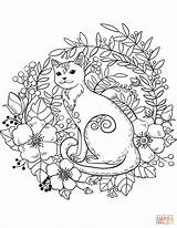 Cat coloring page  Free Printable Coloring Pages sketch template