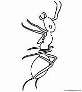 Ant Coloring Page sketch template