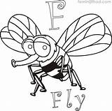 Printable Fly Coloring Pages PDF  Coloringfoldercom Animal coloring sketch template