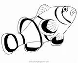 Clown Fish Coloring Page For Kids  Free Clownfishes Printable sketch template
