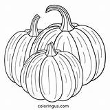 Pumpkin Coloring Pages Free Printable PDF sketch template