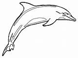 Free Printable Dolphin Coloring Pages For Kids sketch template
