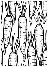 Carrot Coloring Pages  Fun And Educational Activities For Kids sketch template