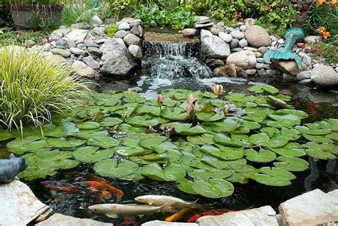 DIY pond filter design – garden pond ideas and construction tips