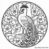 Peacock Mandala Coloring Pages  Free & Printable sketch template