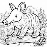 Aardvark Coloring pages 26  Pages Gem sketch template