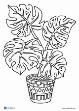20 Free Printable plant Coloring Pages  ESL Vault sketch template