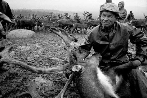 Davin Ellicson Photography: Sami Reindeer Herders