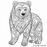 Brown Bear Coloring Pages  Free & Printable sketch template