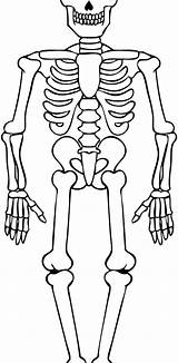 Skeleton Coloring Pages For Kids At GetColoringscom  Free Printable sketch template