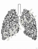 Floral Lung Coloring Page  Etsy sketch template