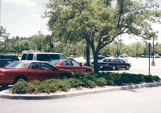 Parking Lot Landscaping, Disneyworld FL | NNECAPA Photo Library | Flickr