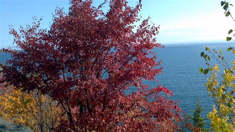 Fall Colors on the North Shore of Lake Superior | Lake superior, Fall colors, Lake